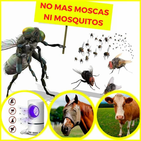 Trampa para Eliminar moscas y mosquitos - Apto para niños, exteriores e interiores